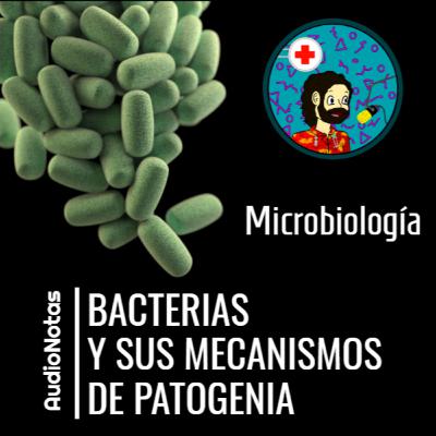 Microbiología: Bacterias y sus mecanismos de patogenia