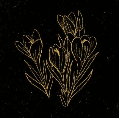 ep. 03 | crocus