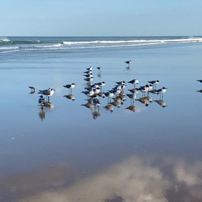 The Universe Loves and Guides Us. Sometimes it is in the darkest places.