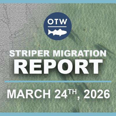 Striper Migration Report | March 24, 2026 Striper Migration Report | March 24, 2026