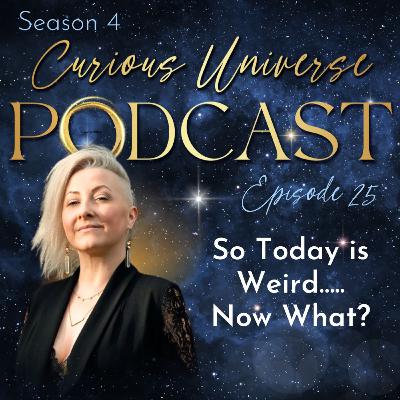 25 - So Today is Weird….. Now What? 25 - So Today is Weird….. Now What?