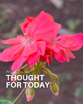 Self Denial Self Denial