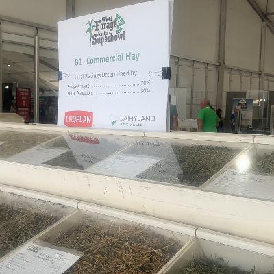 Looking Back On Nearly 40 Years Of Judging Forage