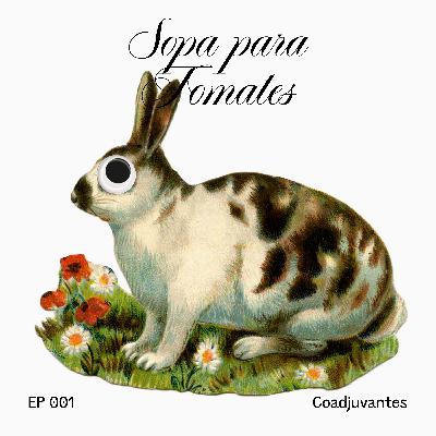 sopa para tomates #1 - coadjuvantes