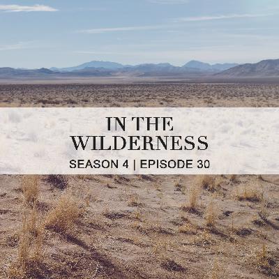 In The Wilderness