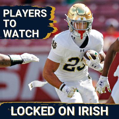 Most Intriguing Notre Dame Players to Watch in Spring Practice