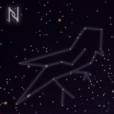 Piano for Sleep with Bird Sounds 12 Hours - "Here but Elsewhere"