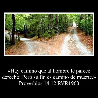 Cuida Tus Caminos Cuida Tus Caminos