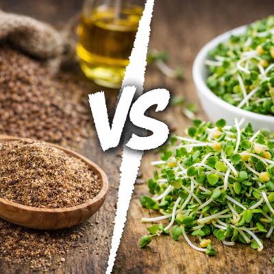 16. Flaxseeds vs Broccoli Sprouts: Which is Healthier?