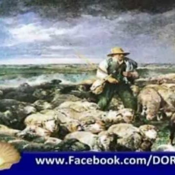 4داستان موسی علیه السلام و شبان