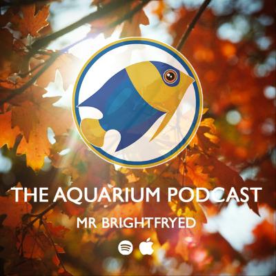 Replicating Natures Elements