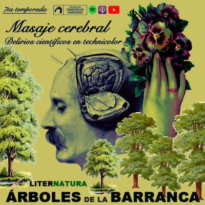ÁRBOLES DE LA BARRANCA ÁRBOLES DE LA BARRANCA
