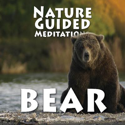 Bear (Winter Solstice)