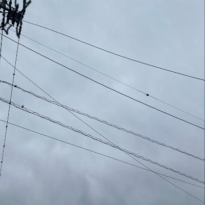 朝のルーティン from Radiotalk 朝のルーティン from Radiotalk