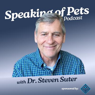 Transforming Pet Cancer Care | SOP ep. 63 - Dr. Steven Suter