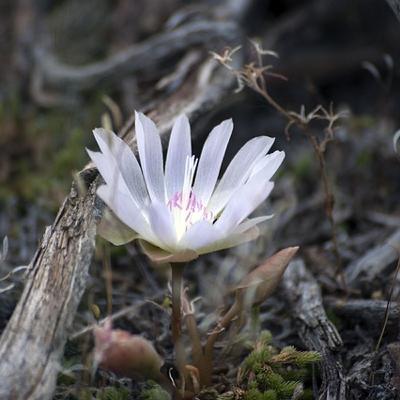 06 - Intervenir ou pas ?