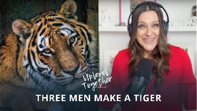 Three Men Make a Tiger: Questioning False Beliefs