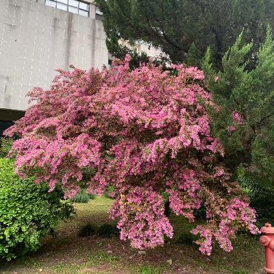 不自觉哼起小曲的一天