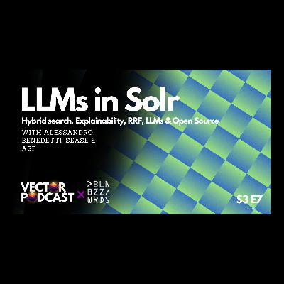 Berlin Buzzwords 2024 - Alessandro Benedetti - LLMs in Solr