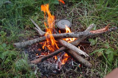 29 - Heart Lessons from Poison Hemlock 29 - Heart Lessons from Poison Hemlock