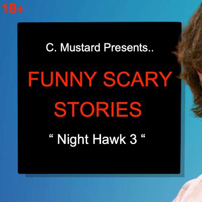The Night Hawk 3 #28 The Night Hawk 3 #28