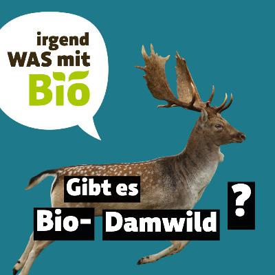 67 - Gibt es Bio-Damwild?