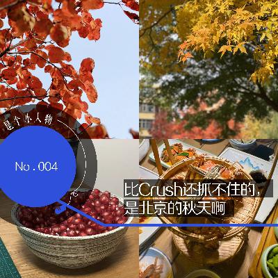 Vol.04 比Crush还抓不住的,是北京的秋天啊 Vol.04 比Crush还抓不住的,是北京的秋天啊