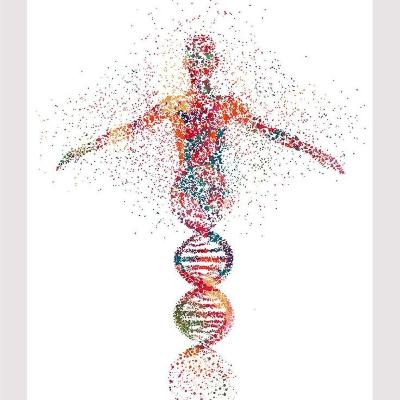 El genoma y el ser humano