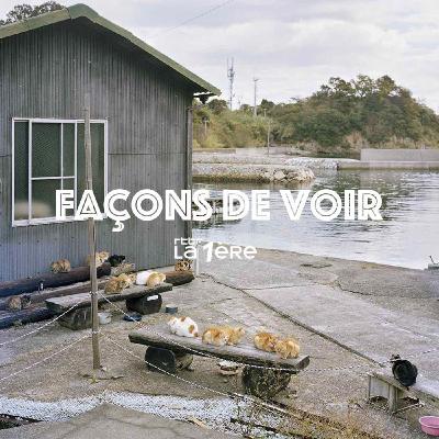 Façons de Voir : PhotoBrussels Festival – Daniel Dethier