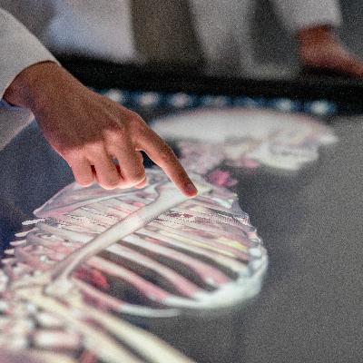 UMass Chan experts discuss benefits, concerns of AI in health care UMass Chan experts discuss benefits, concerns of AI in health care