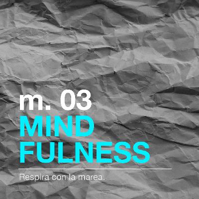 Meditación #3: Respira con la marea