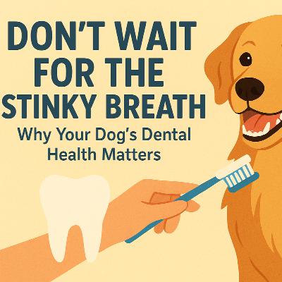 Don’t Wait for the Stinky Breath: Why Your Dog’s Dental Health Matters