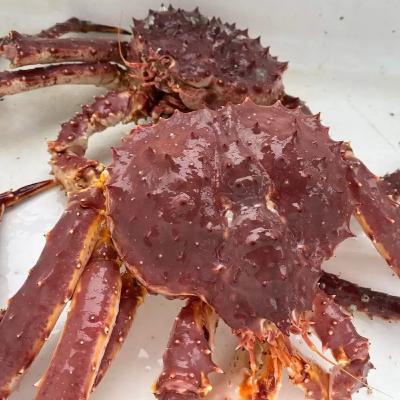 Alaska Fisheries Report 30 Oct 2025