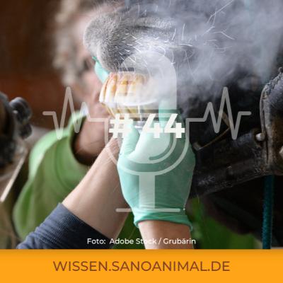 Sanoanimal Podcast #44 - Zahnbehandlung mit oder ohne Sedierung