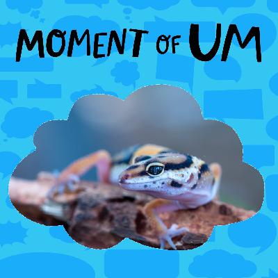 How do lizards detach their tails?