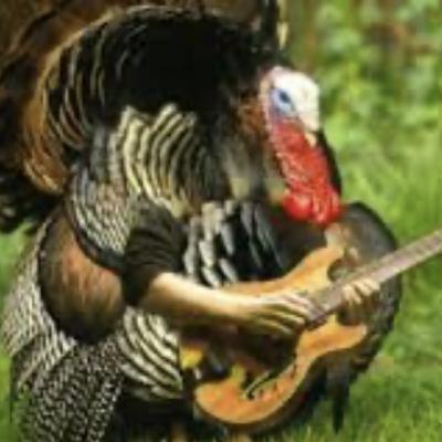 Episode 59: EP # 59 - Rock n Roll Thanksgiving! Episode 59: EP # 59 - Rock n Roll Thanksgiving!