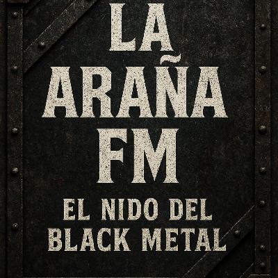 CHAPTER 113, Ashes of the Present: The 10 Best Black Metal Albums of 2025 CHAPTER 113, Ashes of the Present: The 10 Best Black Metal Albums of 2025