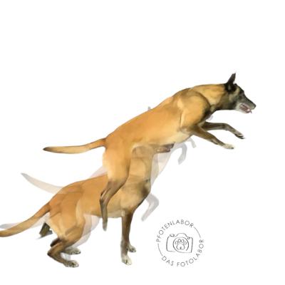 JUBILÄUM - Folge 10 ist da!!! JUBILÄUM - Folge 10 ist da!!!