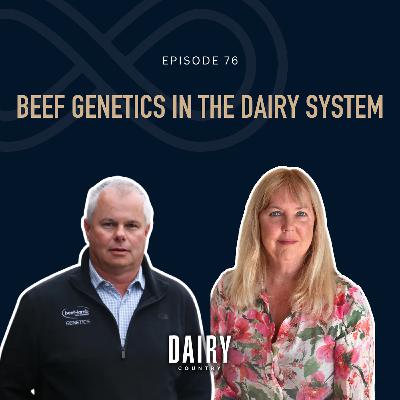 Episode 76 - Beef genetics in the dairy system