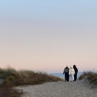 Spørgsnål og besvarelse om fordøjelsessystemet