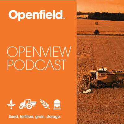 Openview 18th September 2025