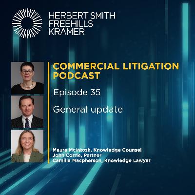 Commercial litigation EP35: General update