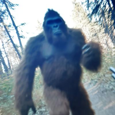 4 TRUE CREEPY NEW HOUSE HORROR STORIES