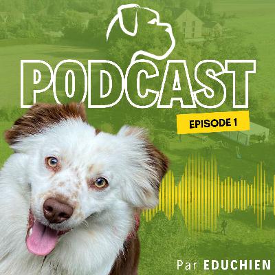 Est-il possible d’éduquer ou de rééduquer un chien adulte ? - EDUCHIEN PODCAST 🎙️