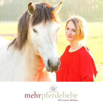 #3 „Dankbarkeitsmeditation für dich und dein Pferd“