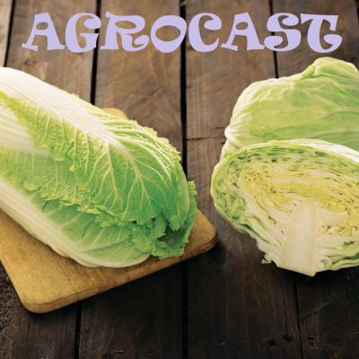AgroCast