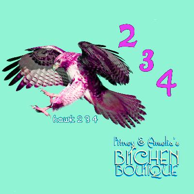 Hawk Two Three Four
