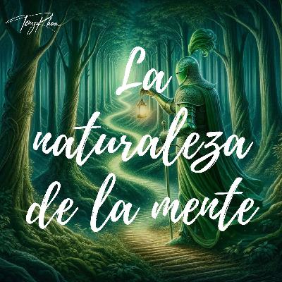 Meditación Guiada Descubrir La Naturaleza De La Mente