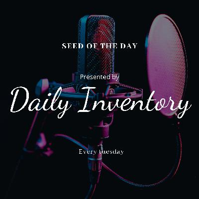 Seed of the day: ep 2 Seed of the day: ep 2