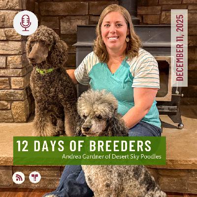 12 Days of Breeders 2025 - #11 - Andrea Gardner of Desert Sky Poodles 12 Days of Breeders 2025 - #11 - Andrea Gardner of Desert Sky Poodles